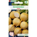 Rzodkiewka Zlata W.Legutko