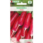 Rzodkiewka Silesia W.Legutko