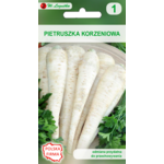 Pietruszka korzeniowa Halblange (Berlińska) W.Legutko