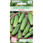 Ogórek gruntowy - konserwowy Aladyn mieszaniec średnio wczesny W.Legutko