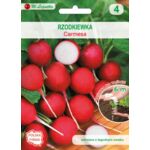 Nasiona na taśmie rzodkiewka Carmesa III-V, VIII W.Legutko