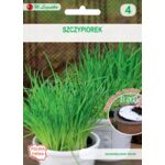 Nasiona na krążku nasiennym szczypiorek W.Legutko