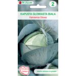 Kapusta głowiasta biała Kamienna Głowa W.Legutko