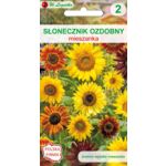 Słonecznik ozdobny wysoki pojedynczy mieszanka W.Legutko