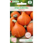 Dynia olbrzymia Uchiki Kuri, typ Hokkaido W.Legutko