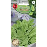 Sałata rzymska Parris Island Cos Baby Leaf W.Legutko