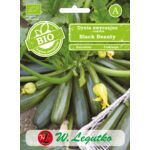 Dynia zwyczajna Black Beauty BIO 2 g gc. C W.Legutko