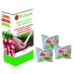 Rzodkiewka De Dix-Huit Jours taśma 3 m W.Legutko