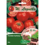 Nasiona na taśmie pomidor gruntowy karłowy wiotkołodygowy Alka W.Legutko