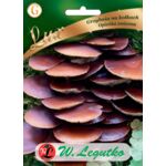 Grzybnia na kołkach Opieńka zmienna W.Legutko