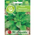 Szpinak Winterreuzen BIO W.Legutko