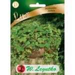 Poziomka Attila III W.Legutko