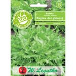 Sałata Regina Dei Ghiacci BIO 0,5 g gc. C W.Legutko