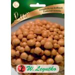 Grzybnia na kołkach Łuskwiak nameko W.Legutko