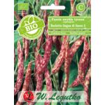 Fasola zwykła Borlotto Lingua Di Fuoco 3 BIO 30 g gc. C W.Legutko