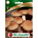 Grzybnia na kołkach - Polówka wiązkowa W.Legutko