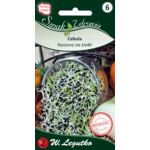 Nasiona na kiełki cebula 10 g gc. 3 W.Legutko