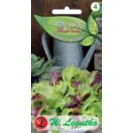 Mieszanka fitness Baby Leaf W.Legutko