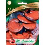 Grzybnia na kołkach Lakownica lśniąca (Reishi) W.Legutko