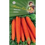 Marchew późna Berlikumer 2 Perfekcja W.Legutko