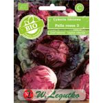 Cykoria Palla Rossa 3 BIO W.Legutko