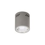 Plafon Donald E27 60W popielaty
