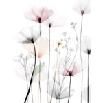 Obraz Canvas 60 x 80 C ST543 MODERN POPPY 1