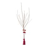 Drzewko owocowe w balocie Wiśnia wys. 160-170 cm