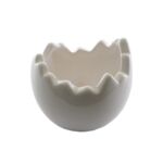 Jajo osłonka biała