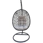 Bujak okrągły czarny