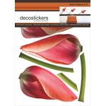 Naklejka dekoracyjna Decostickers Hello Holland 31 Primacol Decorative