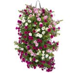 Calibrachoa w wiszącej torbie wys. 30 cm