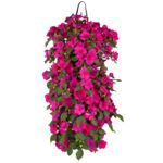 Niecierpek w wiszącej torbie