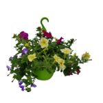 Rośliny kwitnące w wiszącej donicy wys. 30 cm don. 21 cm