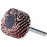 Ściernica trzpieniowa listkowa 30 x 15 x 6 mm P 100 Drel