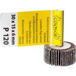 Ściernica trzpieniowa listkowa 30 x 15 x 6 mm P 120 Drel