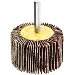 Ściernica trzpieniowa listkowa 50 x 30 x 6 mm P 120 Drel