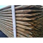 Palisada strugana 8 x 250 cm Complex