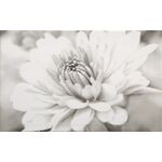 Dekor GARDA FLOWER 25 x 40