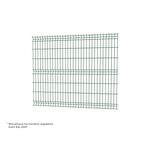 Panel ogrodzeniowy N3D LIGHT II 250x153 cm 6005