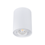 Oprawa oświetleniowa sufitowa DLP-50-W biała BORD