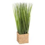 Trawa w wiklinowej osłonce 60 cm