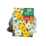 Cebule narcyzów mix 12/14 20 sztuk