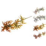 Gałązka ozdobna 50 cm