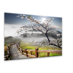 Obraz Decopanel 60 x 90 cm DP012 SAKURA