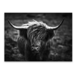 Obraz Glasspik 50 x 70 cm EX633 HORNS