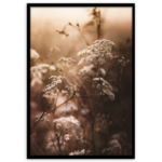 Obraz Framepic 50 x 70 cm FP052 AUTUMN