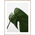 Obraz Artbox Digi 50 x 70 cm AB058 LEAF