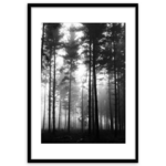 Obraz Framepic 50 x 70 cm FP046 FOREST