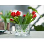 Wazon kwadrat 10 x 10 x 10 cm